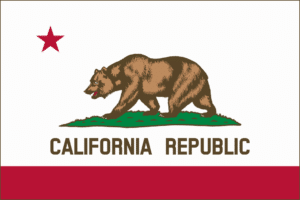 California Flag, Home inspector training in Texas, Champions