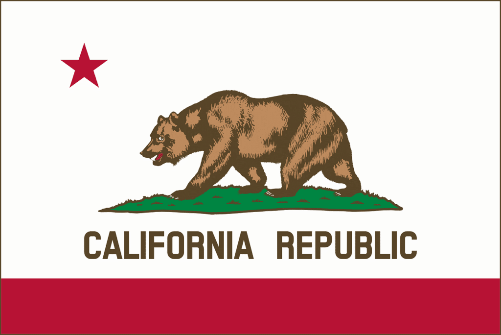 California Flag, Home inspector training in Texas, Champions