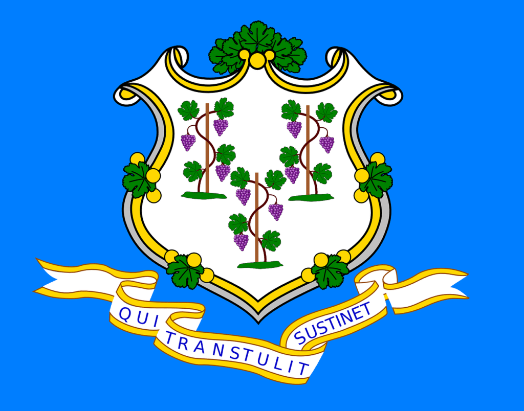 Connecticut Flag, Home inspector training in Texas, Champions