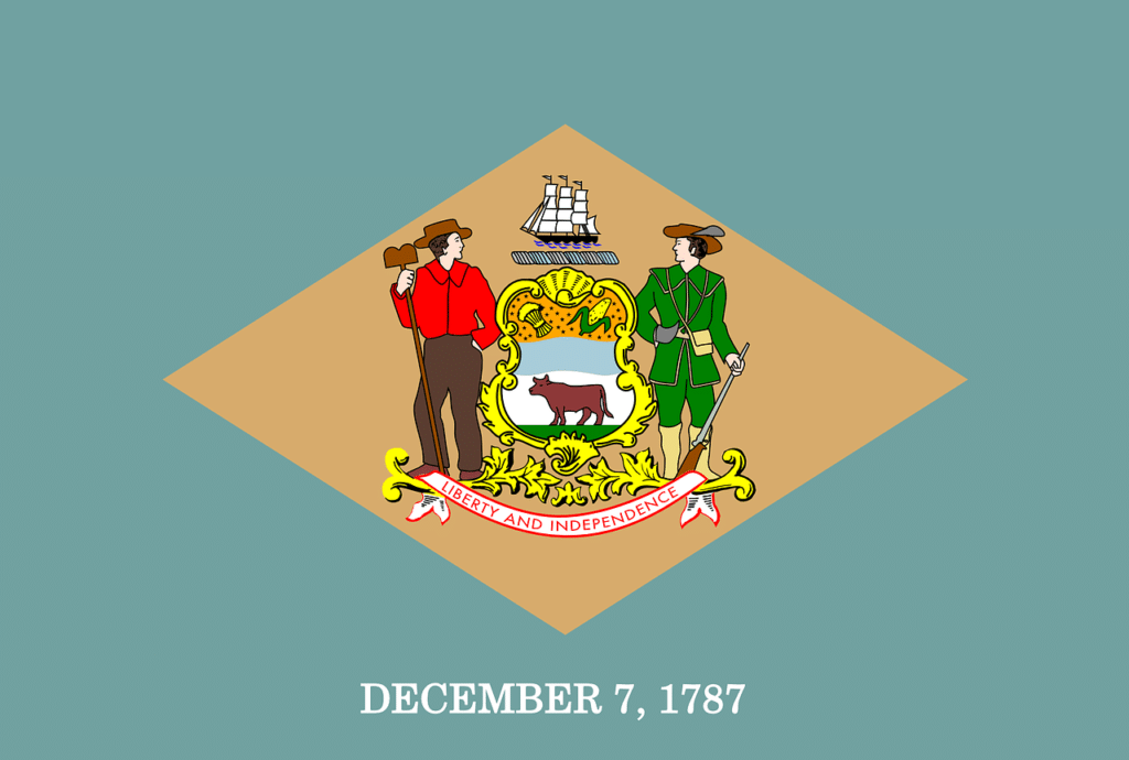 Delaware Flag, Home inspector training in Texas, Champions