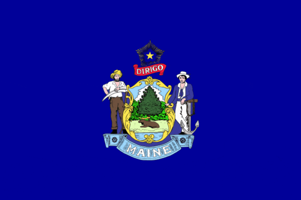 Maine Flag, Home inspector training in Texas, Champions