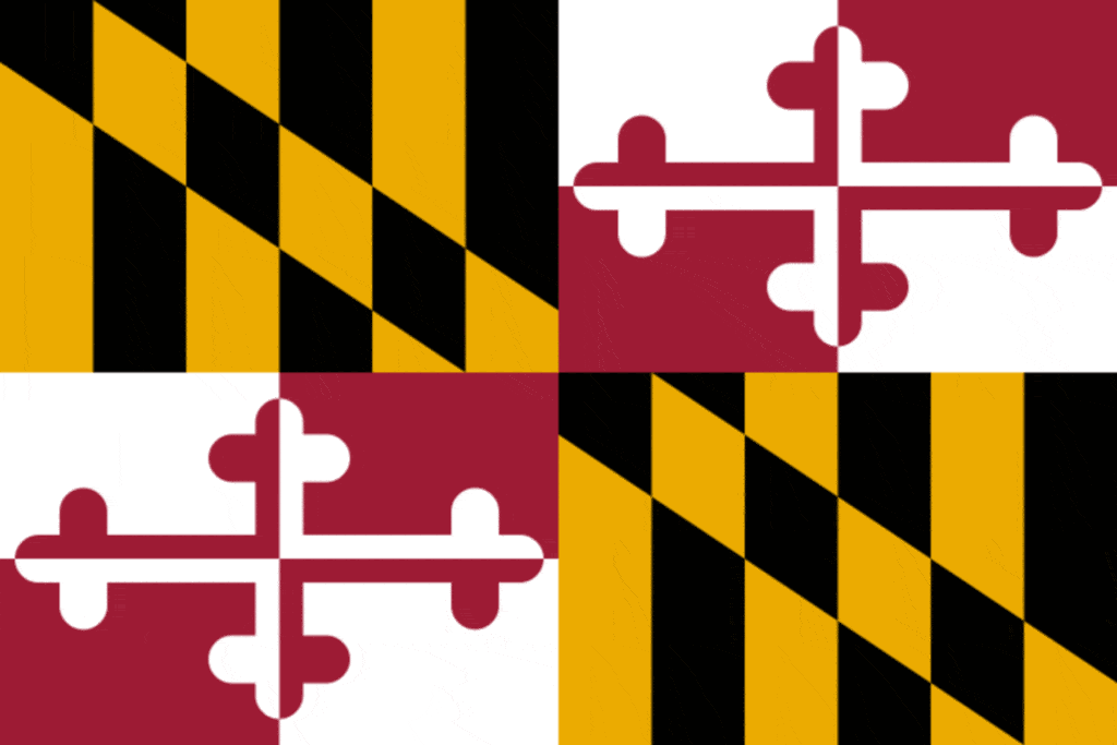 Maryland Requirements Flag, Home inspector training in Texas, Champions
