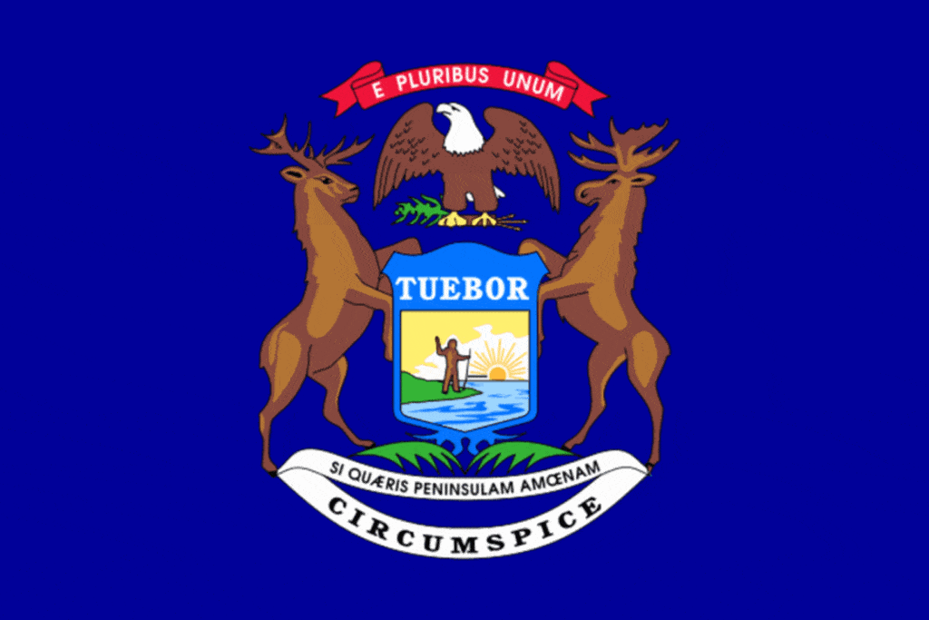Michigan Flag, Home inspector training in Texas, Champions