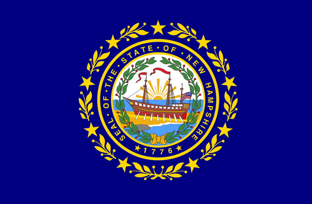 New Hampshire Flag, Home inspector training in Texas, Champions