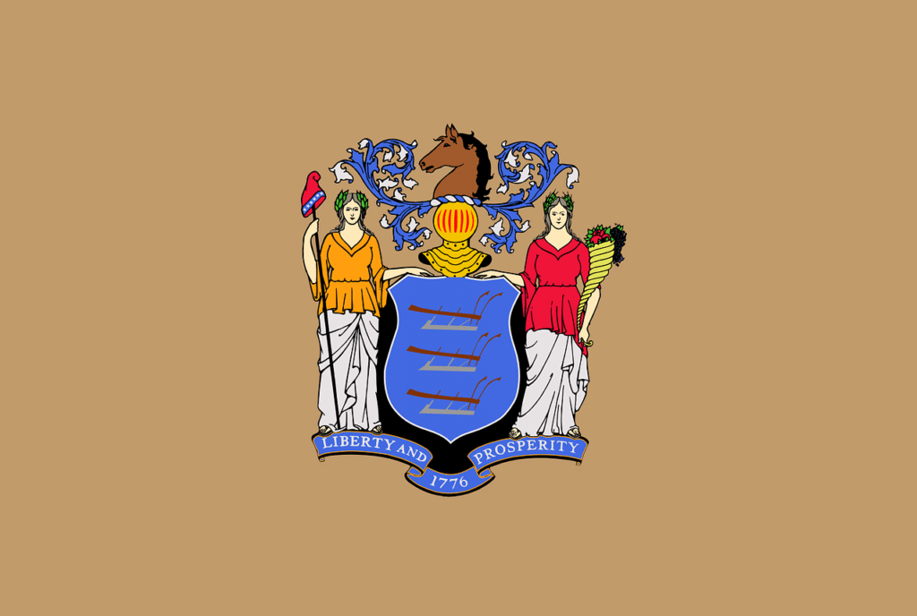 New Jersey Flag, Home inspector training in Texas, Champions