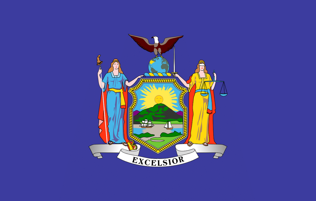 New York Flag, Home inspector training in Texas, Champions