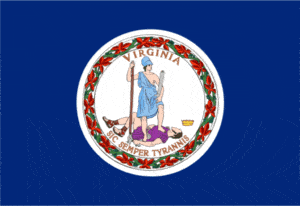 Virginia Flag, Home inspector training in Texas, Champions
