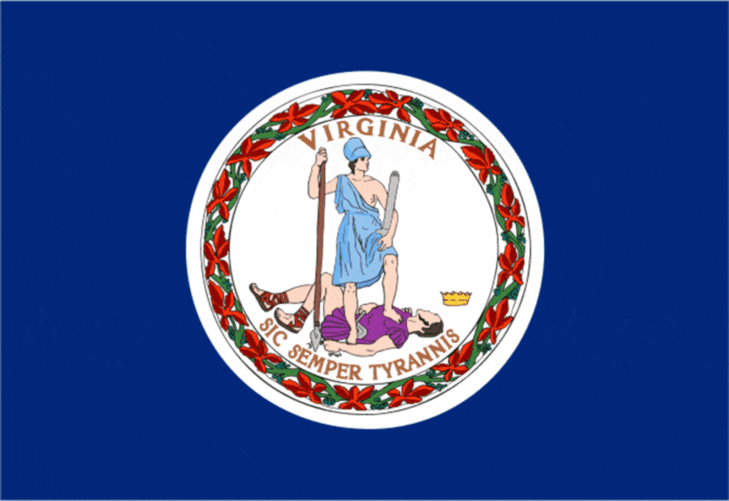 Virginia Flag, Home inspector training in Texas, Champions